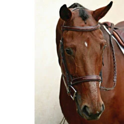 Nunn Finer Caterina Hunter Bridle 11 Nunn Finer Caterina Hunter Bridle -Farm House Tack Store bridle5 897aa7a3 ce3b 4720 b97d 9e9ac9222f48