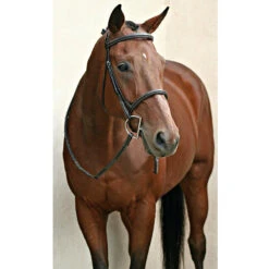 Nunn Finer Elena Hunter Bridle 15 Nunn Finer Elena Hunter Bridle -Farm House Tack Store bridle7 df3ecb4e b033 46d4 bb3c 3bfe7a5c5abb