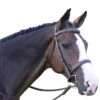 Black Oak By KL Select Spruce Hunter Bridle 2 Black Oak By KL Select Spruce Hunter Bridle -Farm House Tack Store bridle 03431.1584460386.1280.1280 0dfbfcb0 876d 4c50 9c62 997be57b9ea3
