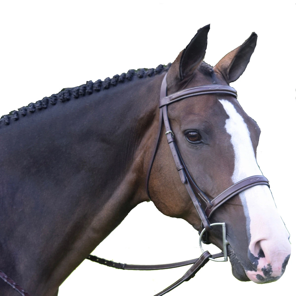 Black Oak By KL Select Spruce Hunter Bridle 3 Black Oak By KL Select Spruce Hunter Bridle
