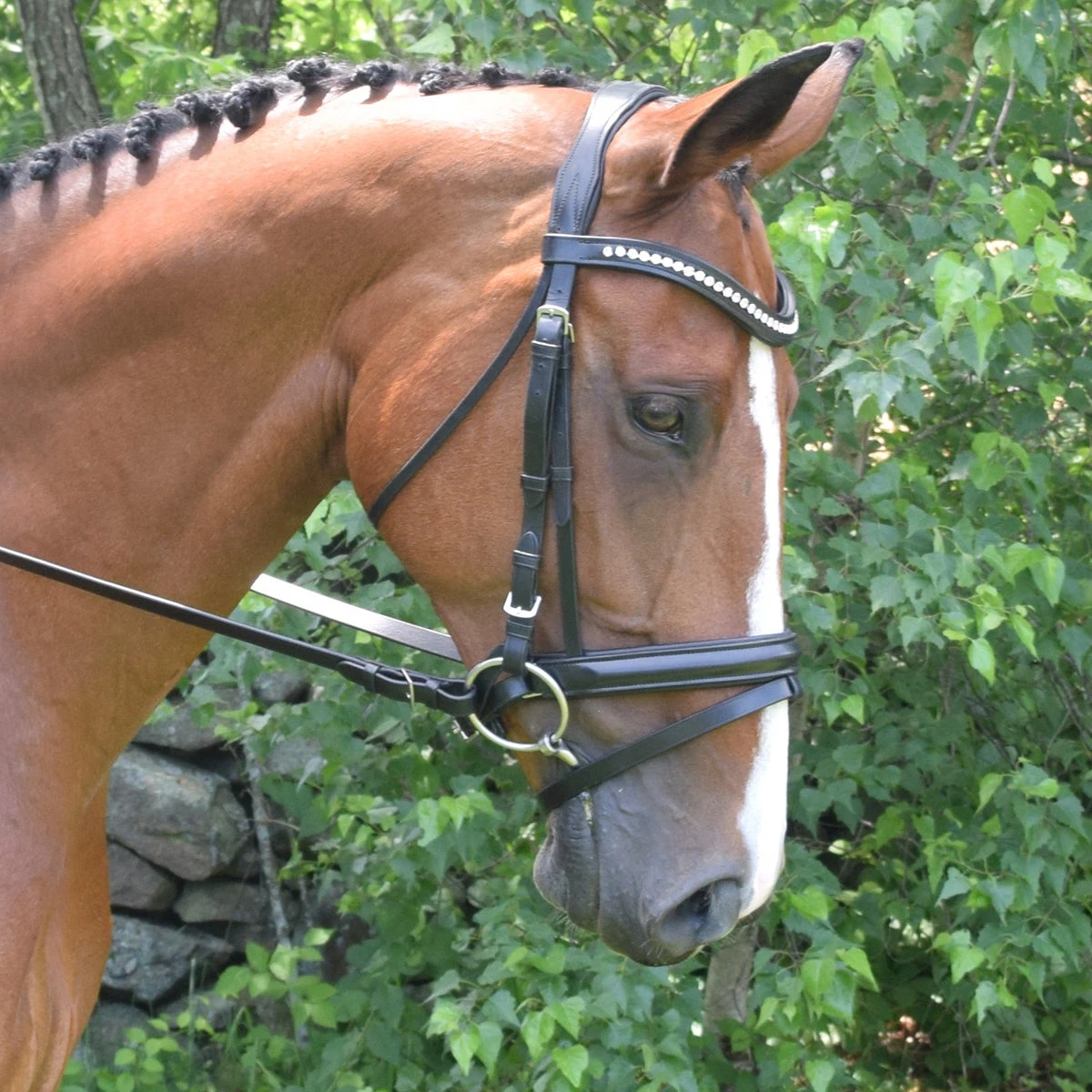 Black Oak By KL Select Magnolia Dressage Bridle 4 Black Oak By KL Select Magnolia Dressage Bridle - Image 2