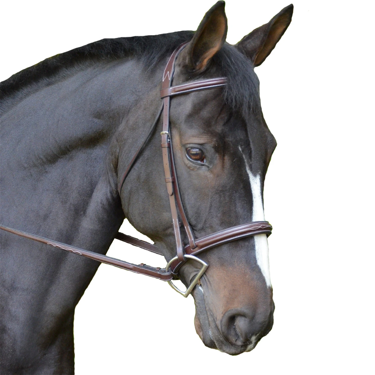 Black Oak By KL Select Cyprus Hunter Bridle 3 Black Oak By KL Select Cyprus Hunter Bridle