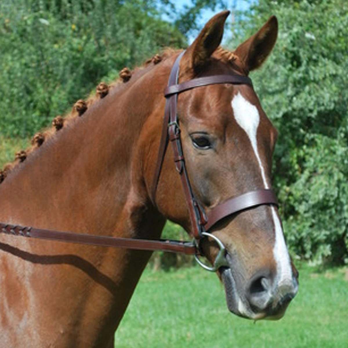 Black Oak By KL Select Foxtrot Hunt Bridle 4 Black Oak By KL Select Foxtrot Hunt Bridle - Image 2