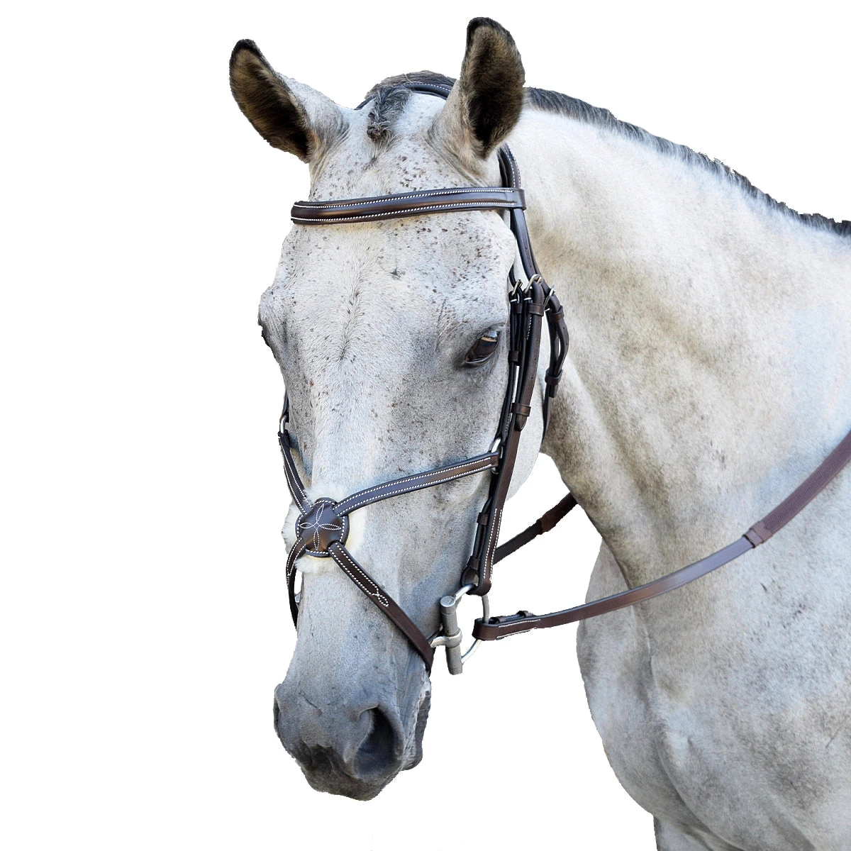 Black Oak By KL Select Cedar Eventing Bridle 3 Black Oak By KL Select Cedar Eventing Bridle