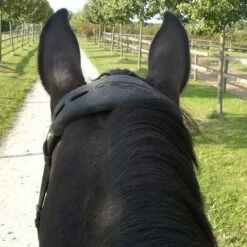 Acavallo Gel Nose Or Poll Guard 19 Acavallo Gel Nose Or Poll Guard -Farm House Tack Store brown4correct 11551.1588788861.1280.1280