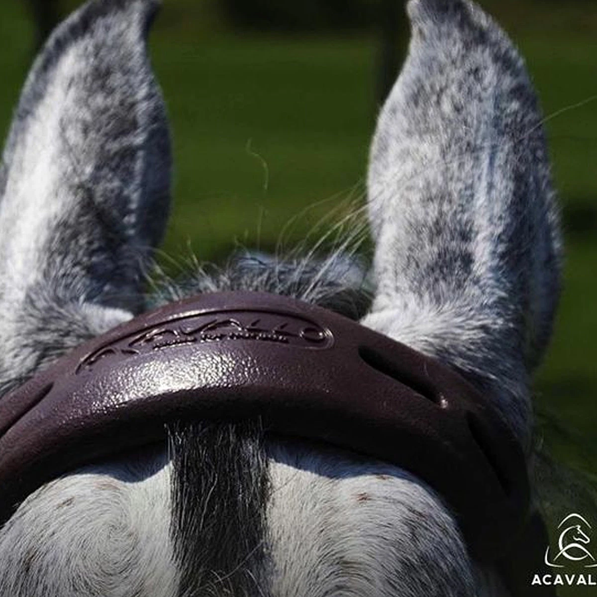 Acavallo Gel Nose Or Poll Guard 9 Acavallo Gel Nose Or Poll Guard - Image 7