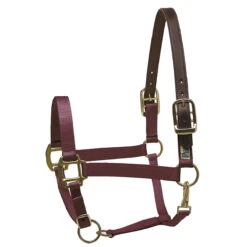 Perri's Premium Nylon Safety Halter -Farm House Tack Store burgundy 54542.1588257173.1280.1280