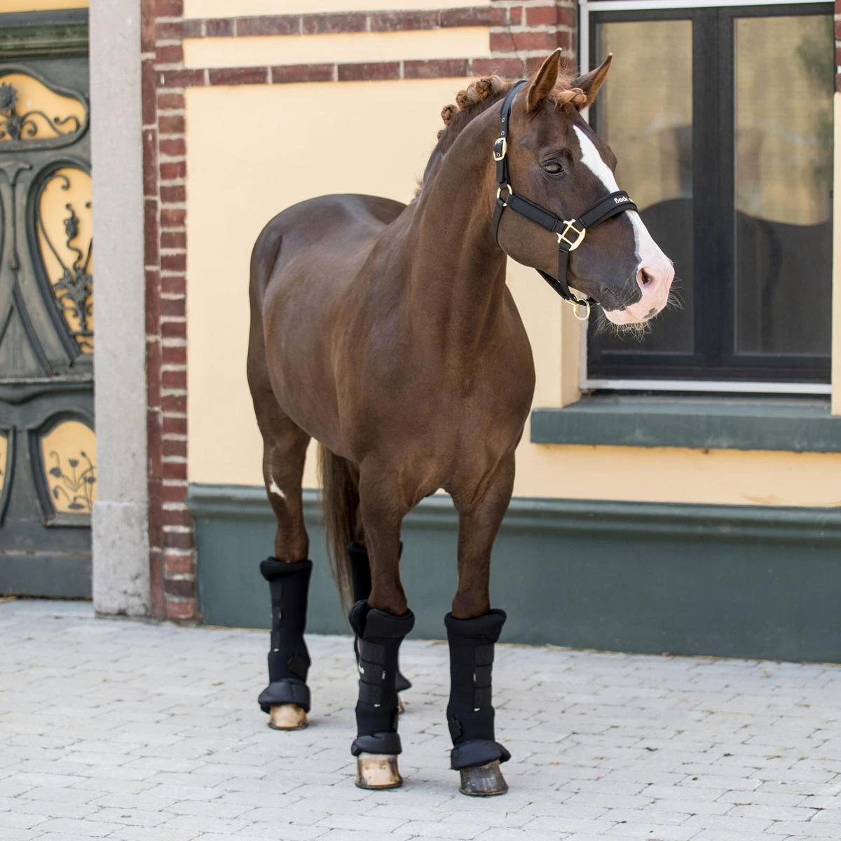 Back On Track Royal Quick Wraps Deluxe 4 Back On Track Royal Quick Wraps Deluxe - Image 2