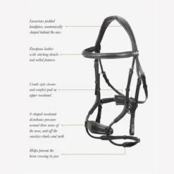 LeMieux Kudos Clear Arc Bridle 11 LeMieux Kudos Clear Arc Bridle -Farm House Tack Store c2ac5715 b74a 4edd a742 6b976d57f9ee