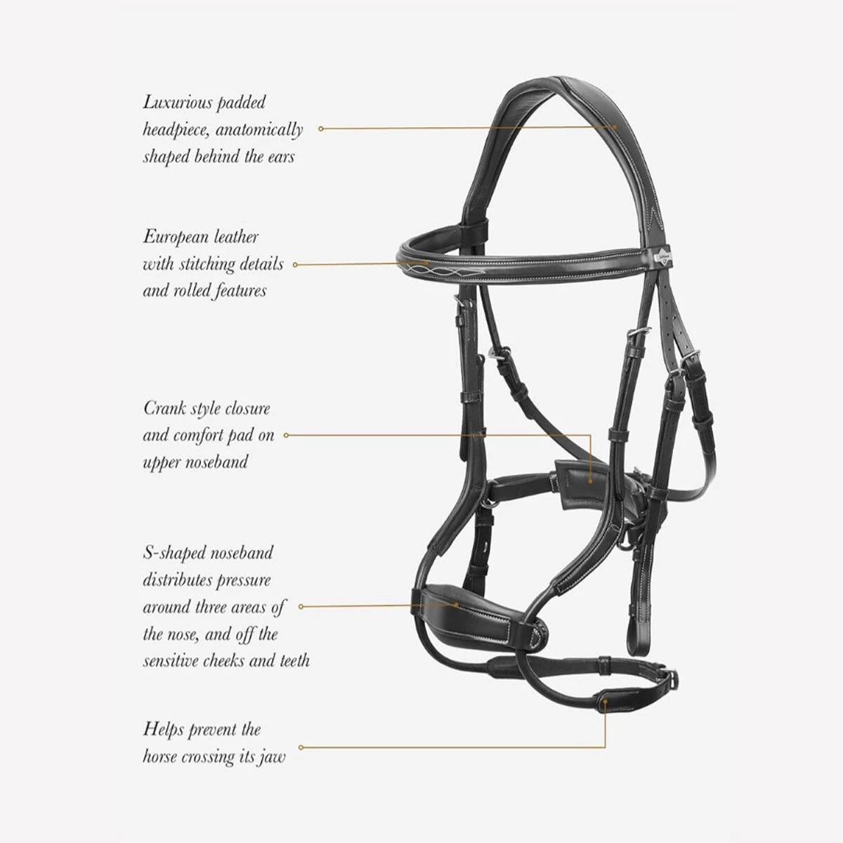 LeMieux Kudos Clear Arc Bridle 7 LeMieux Kudos Clear Arc Bridle - Image 5