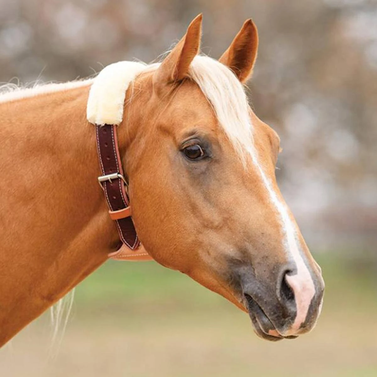 Professional's Choice The Dare Cribbing Collar 4 Professional's Choice The Dare Cribbing Collar - Image 2