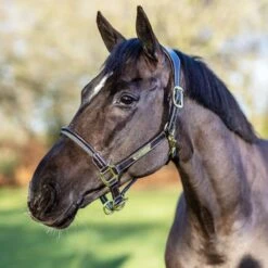 LeMieux Rope Control Halter -Farm House Tack Store c504dd48 88d8 4009 bc29 3708b053088d