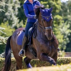 LeMieux Loire Fly Hood -Farm House Tack Store c687615d 2c06 4eac 9d90 b9fe013ecdf4