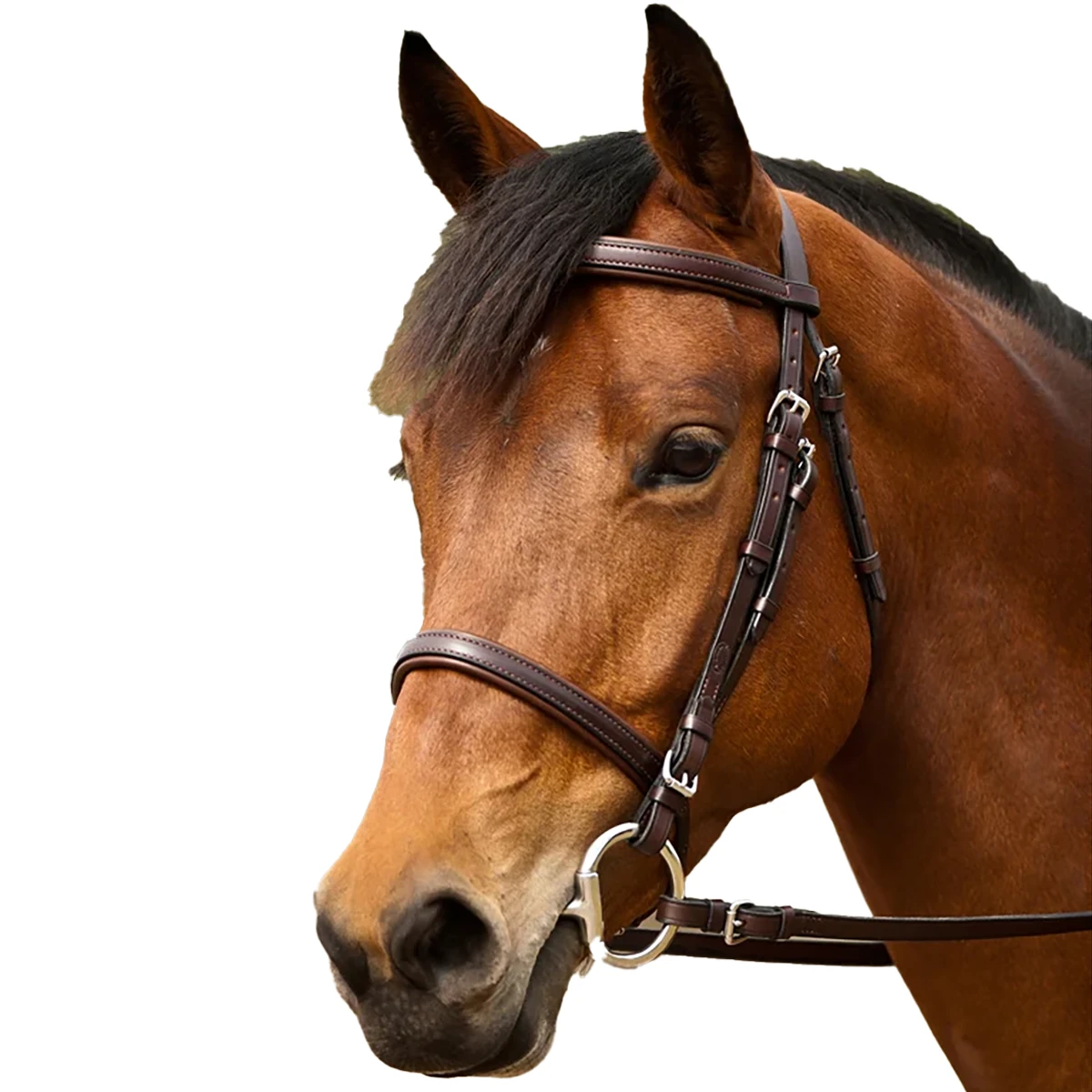 Nunn Finer Event Bridle 3 Nunn Finer Event Bridle