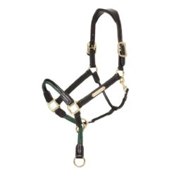 LeMieux Rope Control Halter -Farm House Tack Store ccc14079 ea11 46cd bf82 796325cd7b4c