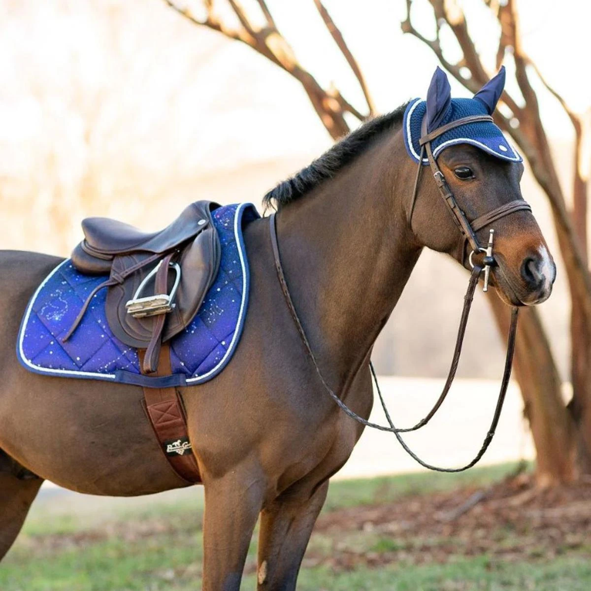 Dapplebay Constellation Pony Saddle Pad 4 Dapplebay Constellation Pony Saddle Pad - Image 2