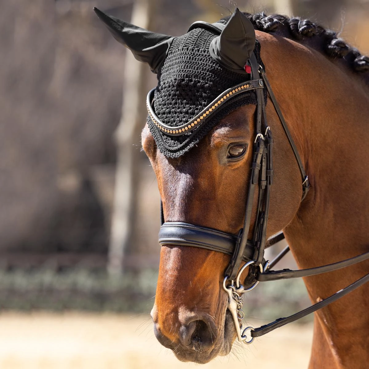 LeMieux Vogue Fly Hood 4 LeMieux Vogue Fly Hood - Image 2