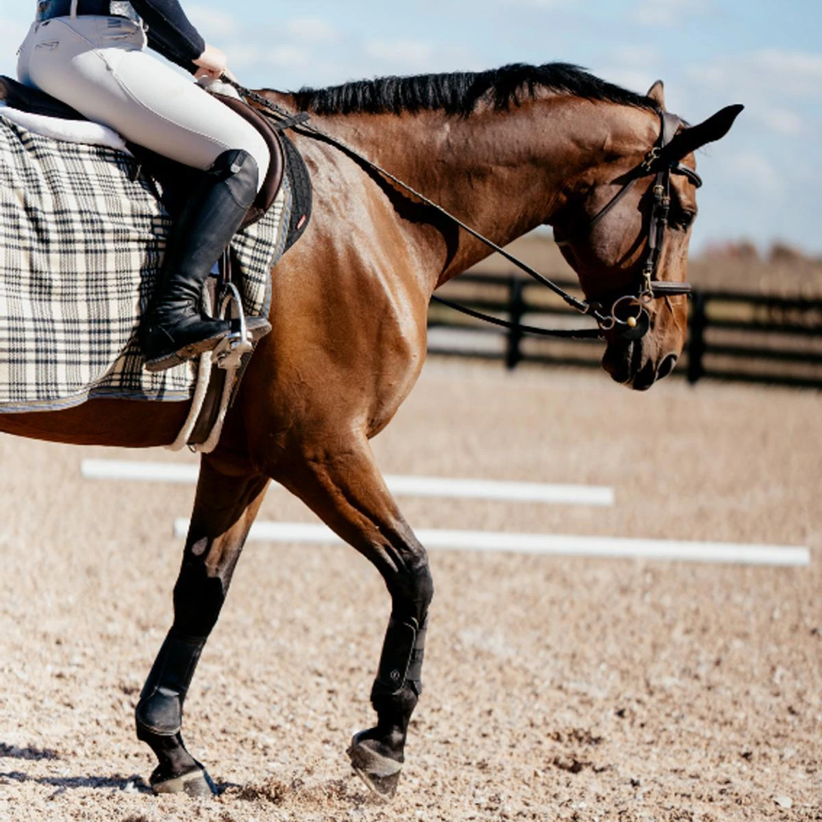 5/A Baker Fleece Quarter Sheet 5 5/A Baker Fleece Quarter Sheet - Image 4