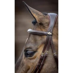 LeMieux Kudos Competition Flash Bridle 10 LeMieux Kudos Competition Flash Bridle -Farm House Tack Store d25bcc63ee6cf06a6048db0d798b1c66