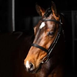 LeMieux Arika Cavesson Bridle 8 LeMieux Arika Cavesson Bridle -Farm House Tack Store d28eb9da 58ea 4016 a55d 5b8b54792e30