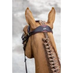 LeMieux Kudos Competition Flash Bridle 11 LeMieux Kudos Competition Flash Bridle -Farm House Tack Store d984ac48394e0d2c413d53eb3e9d56c9
