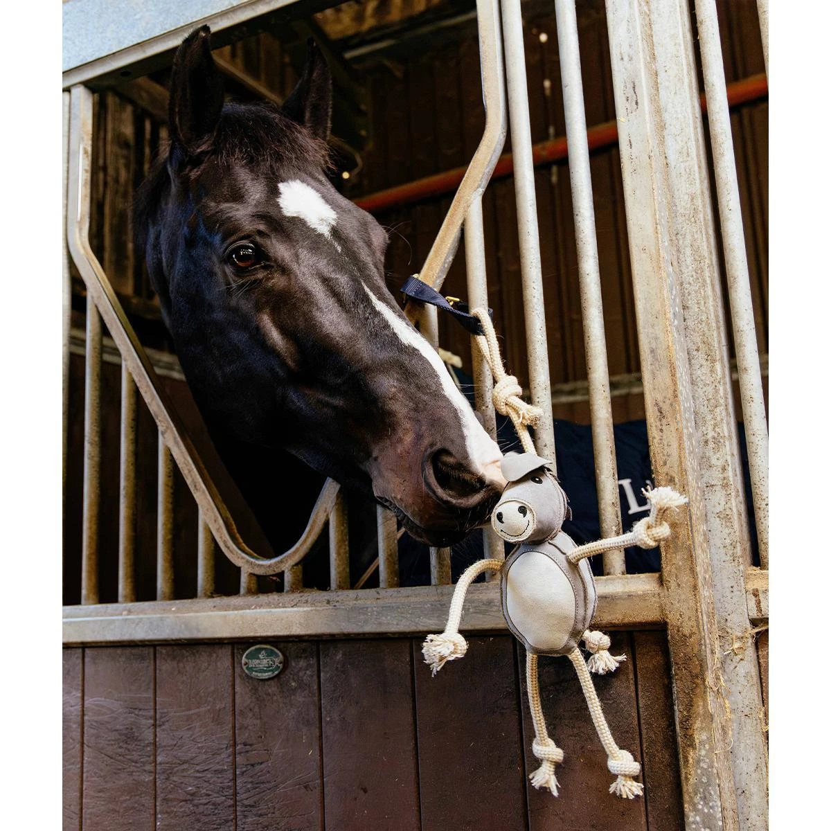 LeMieux Donkey Horse Toy 4 LeMieux Donkey Horse Toy - Image 2