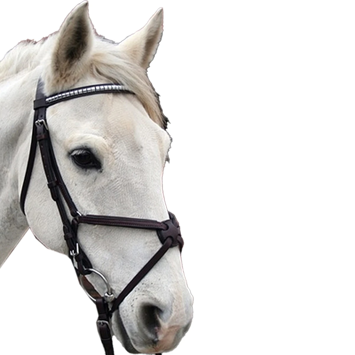 Nunn Finer Figure Eight Bridle 16 Nunn Finer Figure Eight Bridle - Image 14