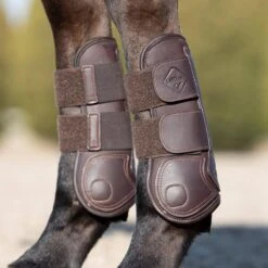 LeMieux Capella Tendon Boots 29 LeMieux Capella Tendon Boots -Farm House Tack Store eaa1ac65468a14917da4583fbddc3895