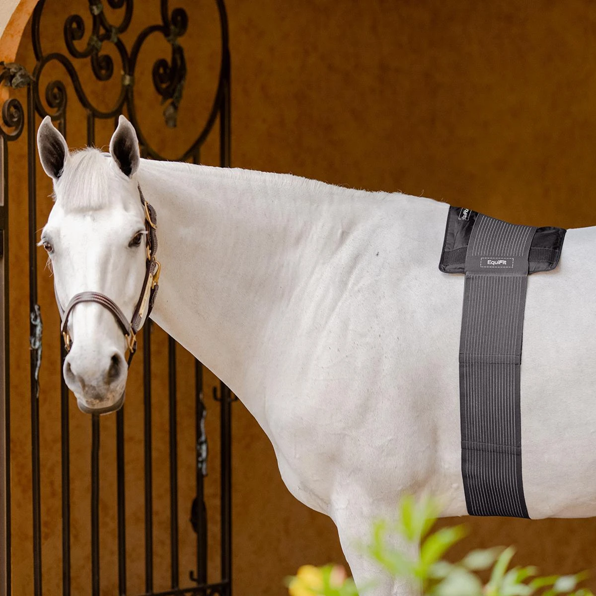 Equifit GelCompression BackPack 4 Equifit GelCompression BackPack - Image 2