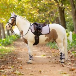 LeMieux Mini Suede Close Contact Square Pad 21 LeMieux Mini Suede Close Contact Square Pad -Farm House Tack Store eb25ec23 ec2d 450a aa95 9ad2b84fe839