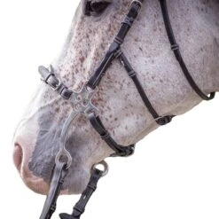Jump'in Hackamore Bridle - Week Collection -Farm House Tack Store ee3b4358e99208f9d18d560b1460b78b