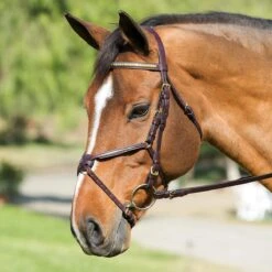 Nunn Finer Figure Eight Bridle 25 Nunn Finer Figure Eight Bridle -Farm House Tack Store ef57301b c3f8 464e b45a 3c7c595851ca