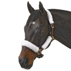 Halter Kit -Farm House Tack Store f0b5a8f8 033d 49a1 b001 d3af48b6112e