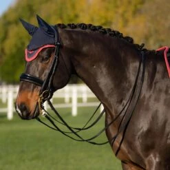 LeMieux Loire Fly Hood -Farm House Tack Store fda27ad1 28c5 4db0 bff2 ded1bd091bc6