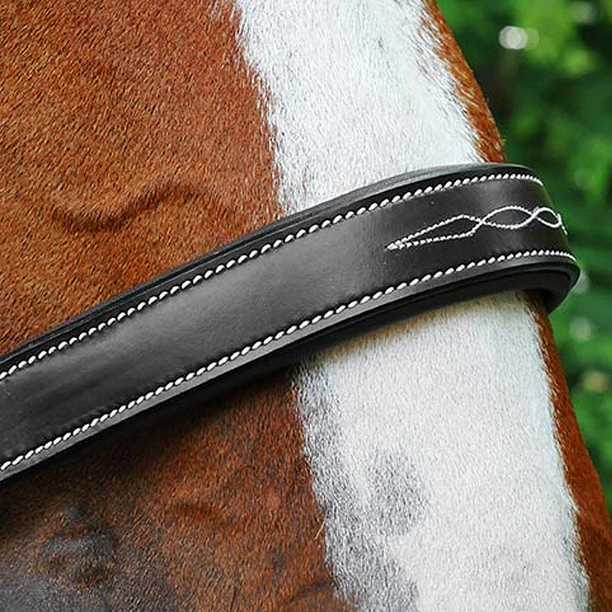 Black Oak By KL Select Willow Halter 5 Black Oak By KL Select Willow Halter - Image 3