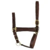 Perri's Economy Leather Halter -Farm House Tack Store havana 76093.1588006794.1280.1280