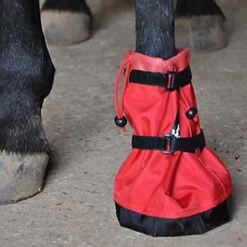 Hoof Wraps Soaker 7 Hoof Wraps Soaker -Farm House Tack Store hoof wrap soaker 38233.1590432762.1280.1280