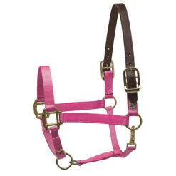Perri's Premium Nylon Safety Halter -Farm House Tack Store hot pink 73719.1588257173.1280.1280