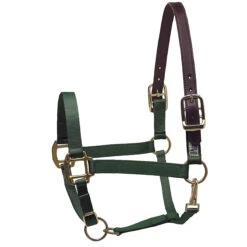 Perri's Premium Nylon Safety Halter -Farm House Tack Store hunter green 79434.1588257174.1280.1280
