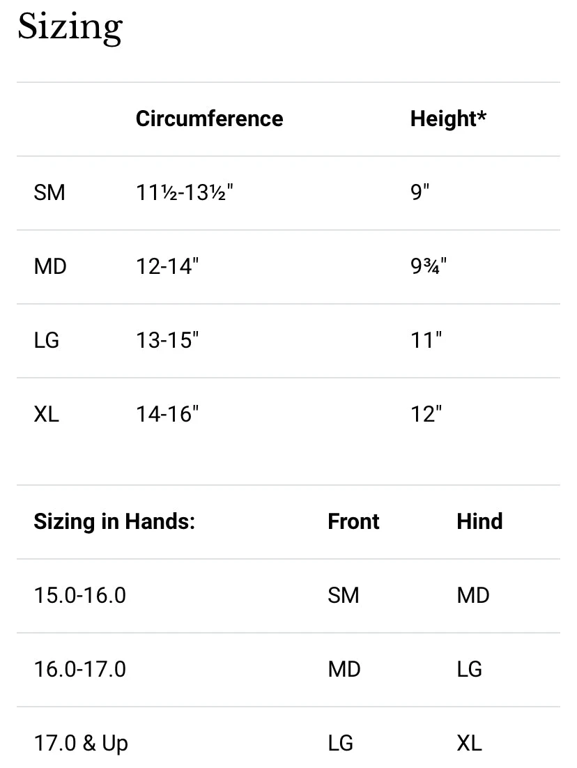 Dressage Sport Boot2 4 Dressage Sport Boot2 - Image 2