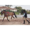 Pessoa Lunging System -Farm House Tack Store lunge