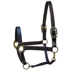Perri's Premium Nylon Safety Halter -Farm House Tack Store navy 34737.1588257173.1280.1280