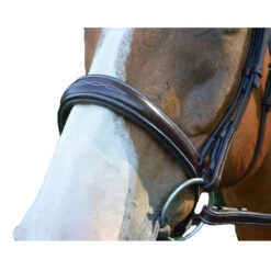 Red Barn By KL Select Ocala Hunter Bridle -Farm House Tack Store ocala2 47920.1584458377.1280.1280 e4922dcd 7594 4691 9711 1ff0d5b2b9ca