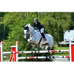 Ogilvy Jump Friction Free Pad 8 Ogilvy Jump Friction Free Pad -Farm House Tack Store pad3