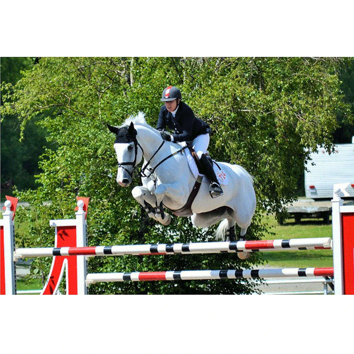 Ogilvy Jump Friction Free Pad 5 Ogilvy Jump Friction Free Pad - Image 3