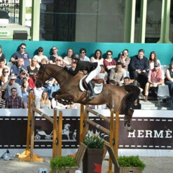 Ogilvy Jump Friction Free Pad 9 Ogilvy Jump Friction Free Pad -Farm House Tack Store pad4