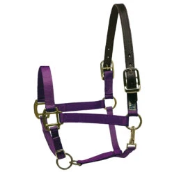 Perri's Premium Nylon Safety Halter -Farm House Tack Store purple 30426.1588257175.1280.1280