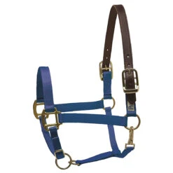 Perri's Premium Nylon Safety Halter -Farm House Tack Store royal bllue 76627.1588257174.1280.1280