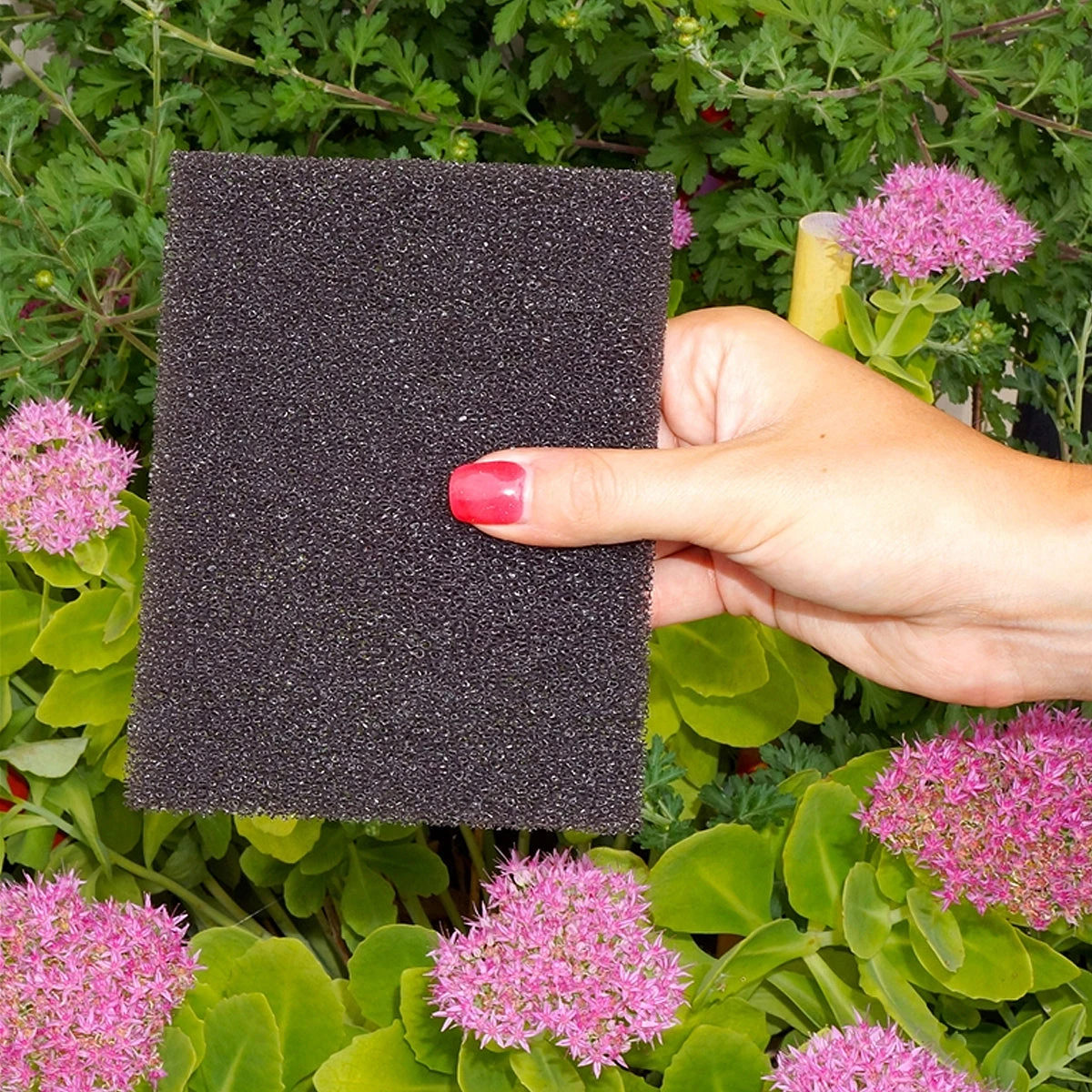 Nunn Finer Scrub Rub 5 Nunn Finer Scrub Rub - Image 3