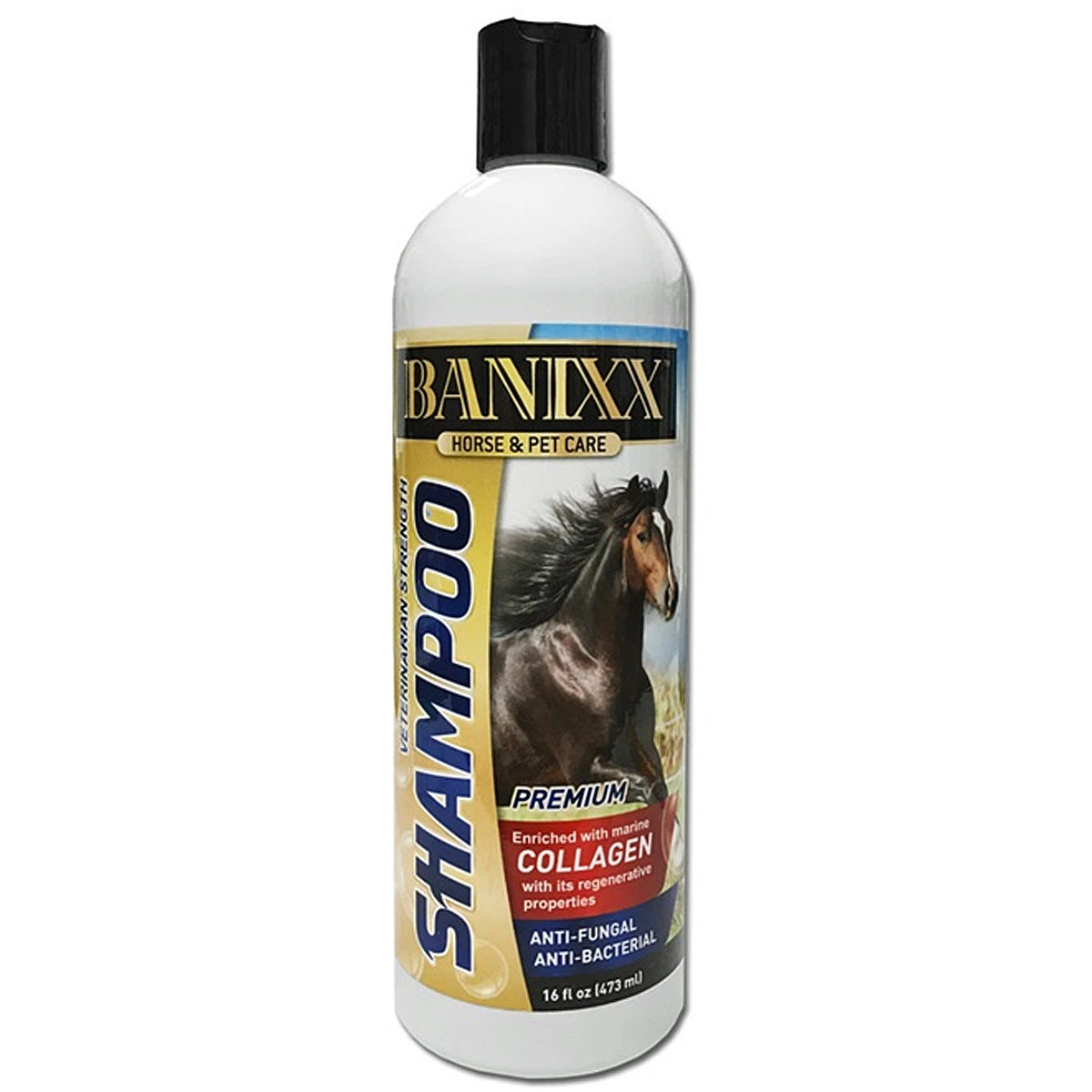 Banixx Shampoo 3 Banixx Shampoo